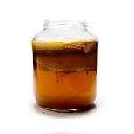 Kombucha