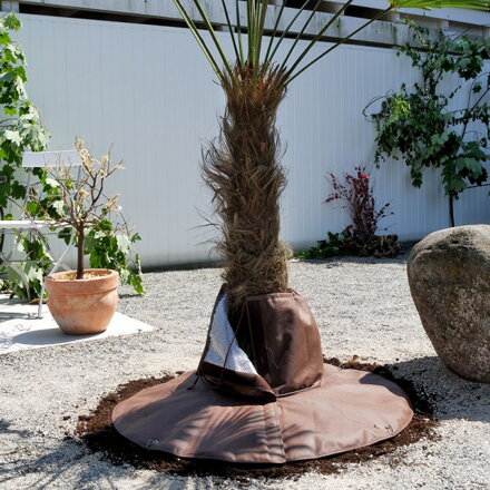 Kryt na ochranu kořenů palmových rostlin