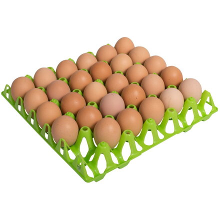 Podnos pro 30 slepičích vajec